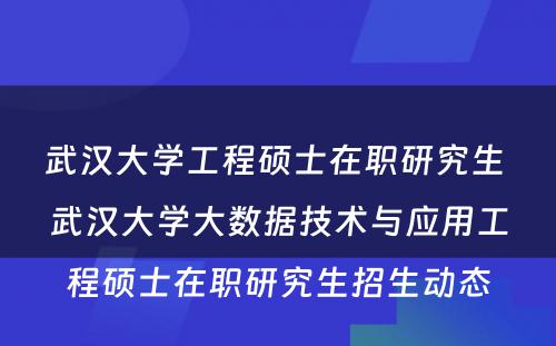 武汉大学工程硕士在职研究生 武汉大学大数据技术与应用工程硕士在职研究生招生动态