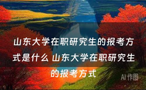 山东大学在职研究生的报考方式是什么 山东大学在职研究生的报考方式