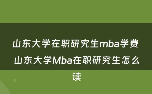 山东大学在职研究生mba学费 山东大学Mba在职研究生怎么读