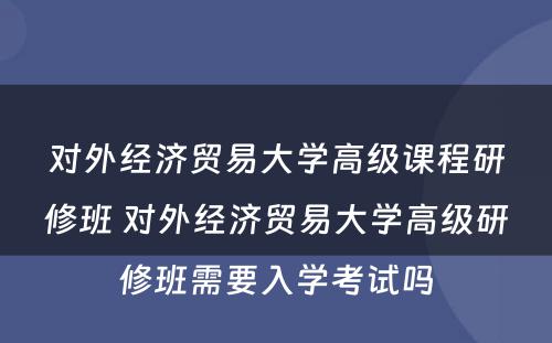 对外经济贸易大学高级课程研修班 对外经济贸易大学高级研修班需要入学考试吗