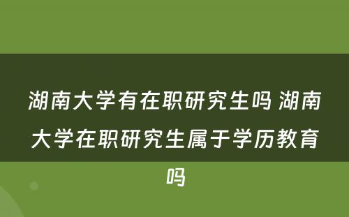 湖南大学有在职研究生吗 湖南大学在职研究生属于学历教育吗