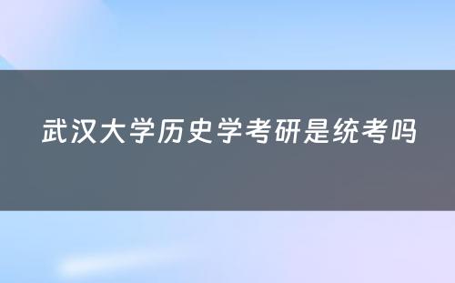 武汉大学历史学考研是统考吗