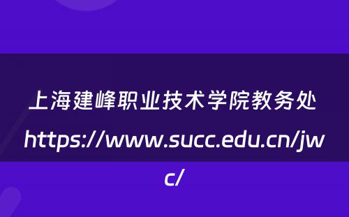 上海建峰职业技术学院教务处 https://www.succ.edu.cn/jwc/