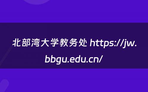 北部湾大学教务处 https://jw.bbgu.edu.cn/