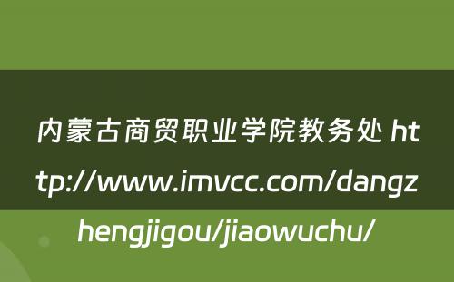 内蒙古商贸职业学院教务处 http://www.imvcc.com/dangzhengjigou/jiaowuchu/