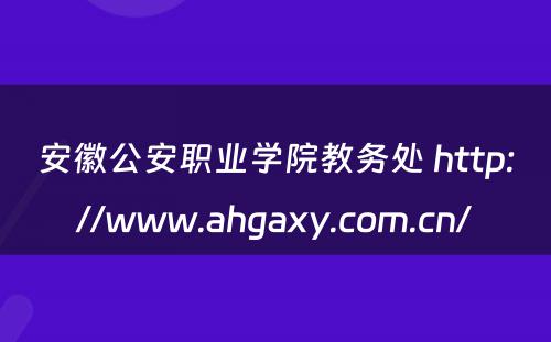 安徽公安职业学院教务处 http://www.ahgaxy.com.cn/