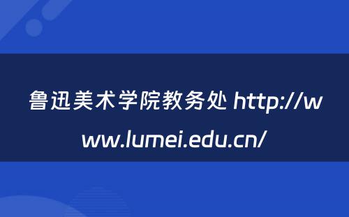 鲁迅美术学院教务处 http://www.lumei.edu.cn/