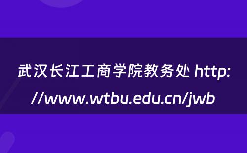 武汉长江工商学院教务处 http://www.wtbu.edu.cn/jwb