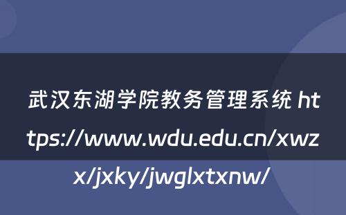 武汉东湖学院教务管理系统 https://www.wdu.edu.cn/xwzx/jxky/jwglxtxnw/