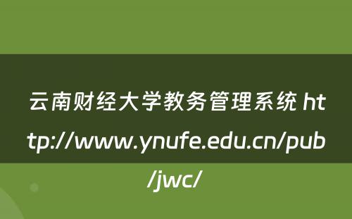云南财经大学教务管理系统 http://www.ynufe.edu.cn/pub/jwc/