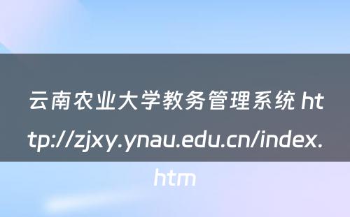 云南农业大学教务管理系统 http://zjxy.ynau.edu.cn/index.htm