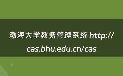 渤海大学教务管理系统 http://cas.bhu.edu.cn/cas