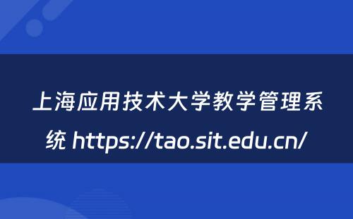 上海应用技术大学教学管理系统 https://tao.sit.edu.cn/