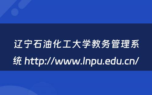辽宁石油化工大学教务管理系统 http://www.lnpu.edu.cn/