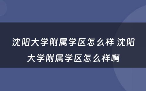 沈阳大学附属学区怎么样 沈阳大学附属学区怎么样啊