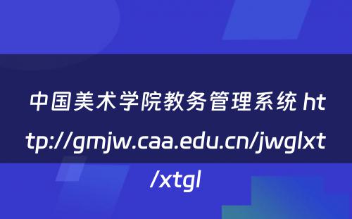 中国美术学院教务管理系统 http://gmjw.caa.edu.cn/jwglxt/xtgl