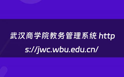武汉商学院教务管理系统 https://jwc.wbu.edu.cn/