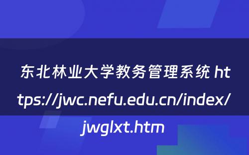 东北林业大学教务管理系统 https://jwc.nefu.edu.cn/index/jwglxt.htm