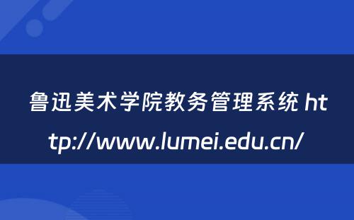鲁迅美术学院教务管理系统 http://www.lumei.edu.cn/