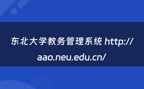 东北大学教务管理系统 http://aao.neu.edu.cn/