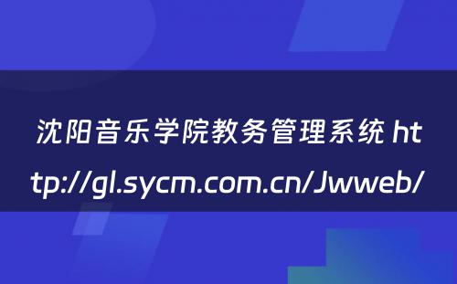 沈阳音乐学院教务管理系统 http://gl.sycm.com.cn/Jwweb/