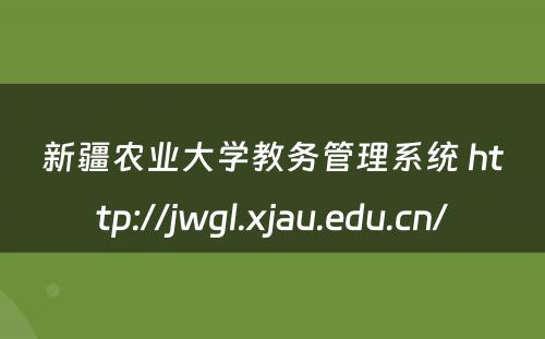 新疆农业大学教务管理系统 http://jwgl.xjau.edu.cn/
