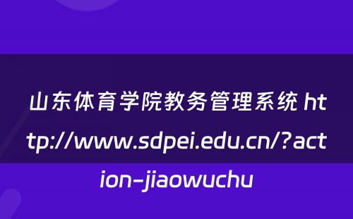 山东体育学院教务管理系统 http://www.sdpei.edu.cn/?action-jiaowuchu