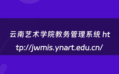 云南艺术学院教务管理系统 http://jwmis.ynart.edu.cn/