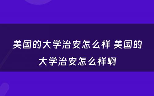 美国的大学治安怎么样 美国的大学治安怎么样啊