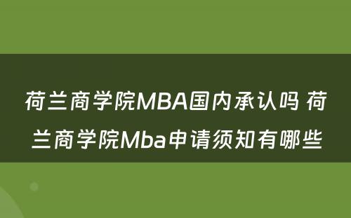 荷兰商学院MBA国内承认吗 荷兰商学院Mba申请须知有哪些