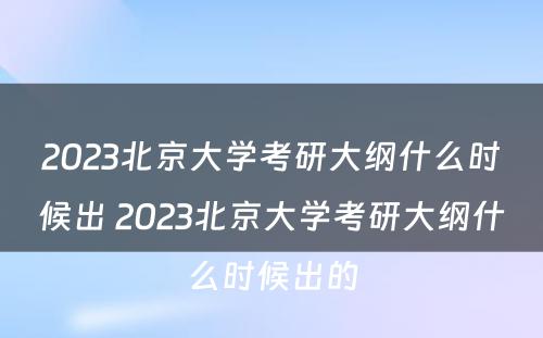 2023北京大学考研大纲什么时候出 2023北京大学考研大纲什么时候出的