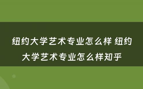 纽约大学艺术专业怎么样 纽约大学艺术专业怎么样知乎