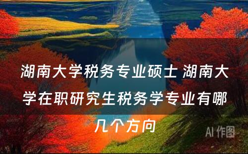 湖南大学税务专业硕士 湖南大学在职研究生税务学专业有哪几个方向