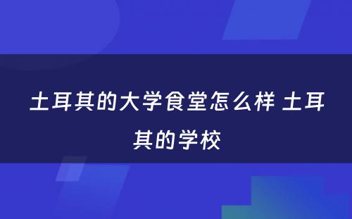 土耳其的大学食堂怎么样 土耳其的学校