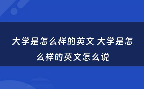 大学是怎么样的英文 大学是怎么样的英文怎么说