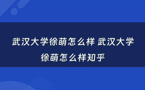 武汉大学徐萌怎么样 武汉大学徐萌怎么样知乎