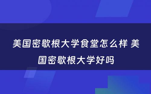 美国密歇根大学食堂怎么样 美国密歇根大学好吗