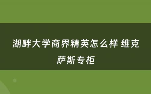 湖畔大学商界精英怎么样 维克萨斯专柜