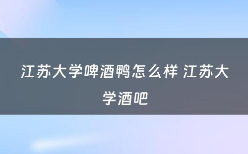 江苏大学啤酒鸭怎么样 江苏大学酒吧