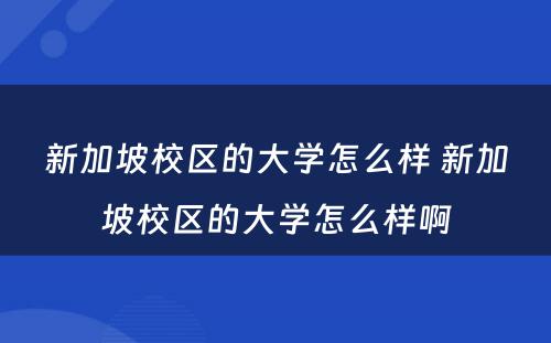 新加坡校区的大学怎么样 新加坡校区的大学怎么样啊