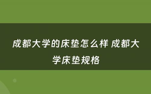 成都大学的床垫怎么样 成都大学床垫规格