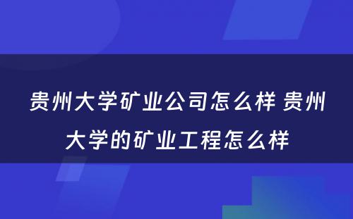 贵州大学矿业公司怎么样 贵州大学的矿业工程怎么样