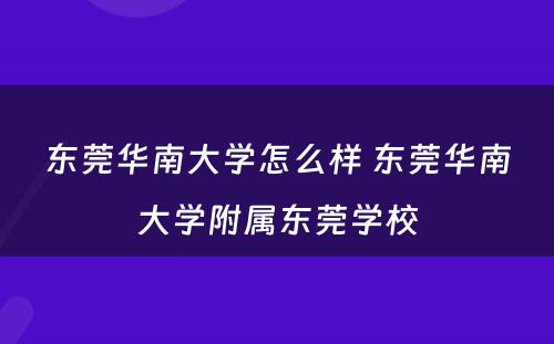 东莞华南大学怎么样 东莞华南大学附属东莞学校