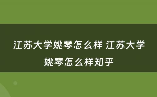 江苏大学姚琴怎么样 江苏大学姚琴怎么样知乎