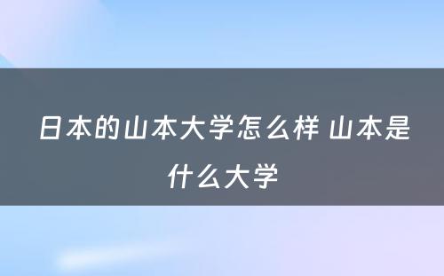 日本的山本大学怎么样 山本是什么大学