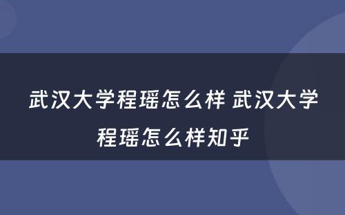 武汉大学程瑶怎么样 武汉大学程瑶怎么样知乎