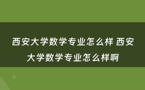 西安大学数学专业怎么样 西安大学数学专业怎么样啊