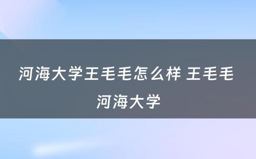 河海大学王毛毛怎么样 王毛毛 河海大学