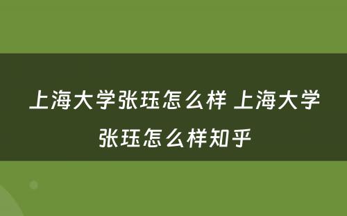 上海大学张珏怎么样 上海大学张珏怎么样知乎