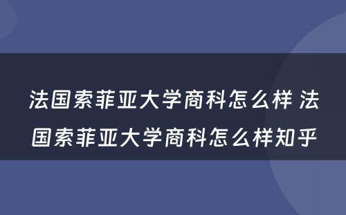 法国索菲亚大学商科怎么样 法国索菲亚大学商科怎么样知乎